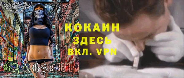 прущие грибы Долгопрудный