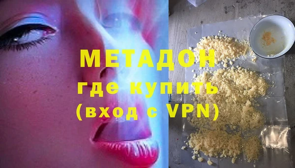 прущие грибы Долгопрудный