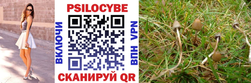 магазин    darknet формула  Галлюциногенные грибы MAGIC MUSHROOMS  Чехов 